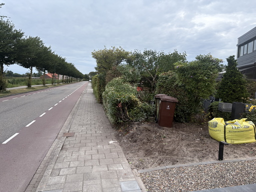 Tuin
